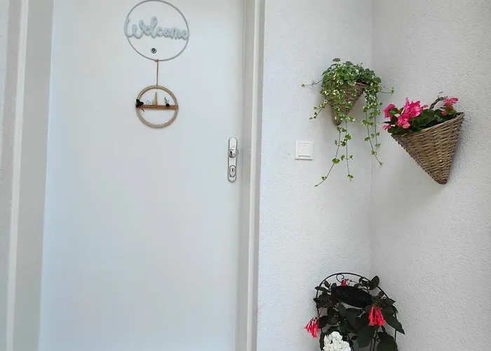With A Terrace Apartment
