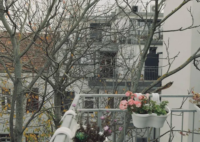 With A Terrace Vienna